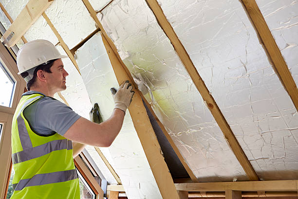 Professional Insulation Contractor in SC