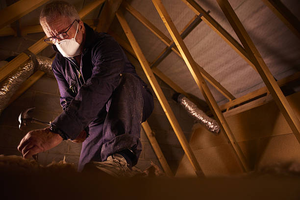 Best Types of Insulation in Ravenel, SC